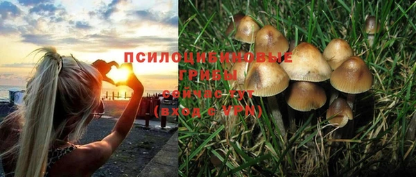 таблы Алзамай