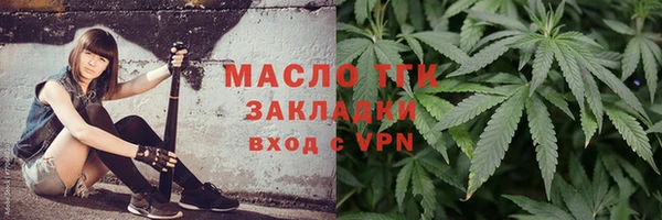 индика Осташков